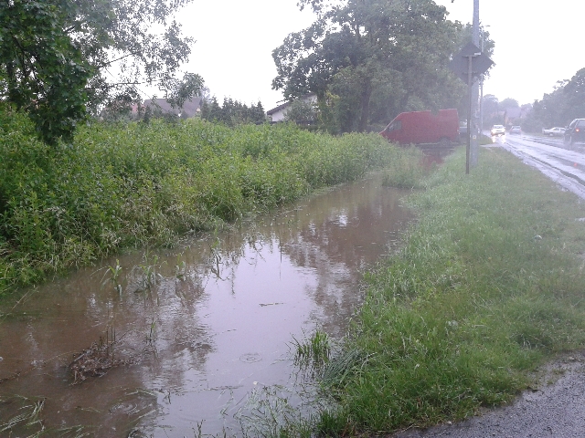 Z niepokojem wypatrują deszczu - 11