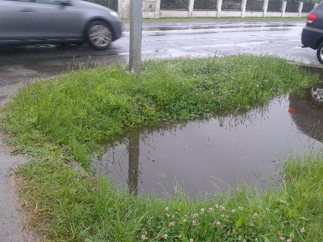 Z niepokojem wypatrują deszczu - 1