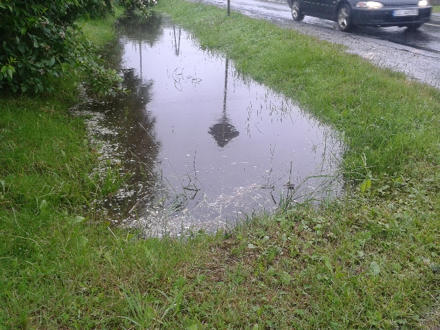 Z niepokojem wypatrują deszczu - 2