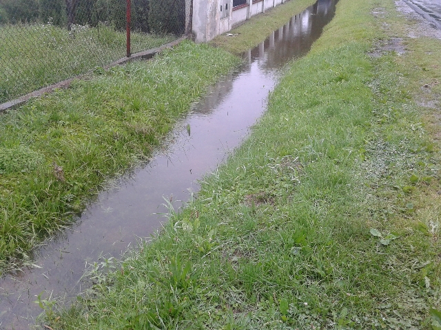 Z niepokojem wypatrują deszczu - 3