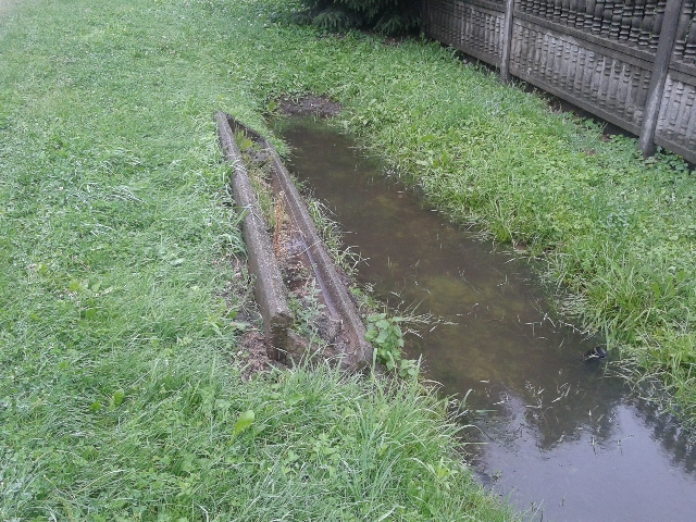 Z niepokojem wypatrują deszczu - 4