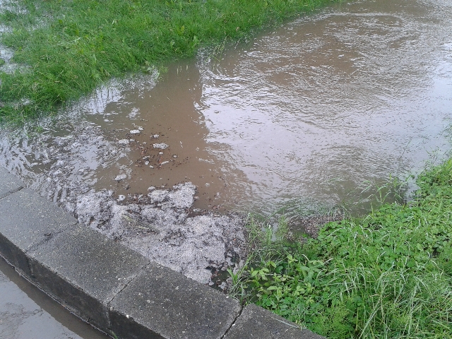 Z niepokojem wypatrują deszczu - 6