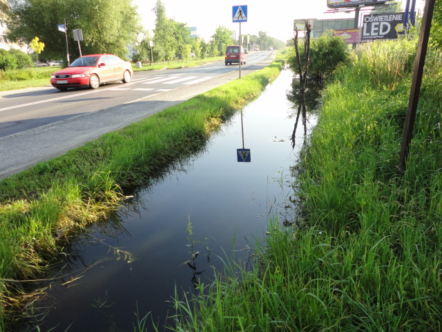 A przy Mińskiej niezłe bagno - 1