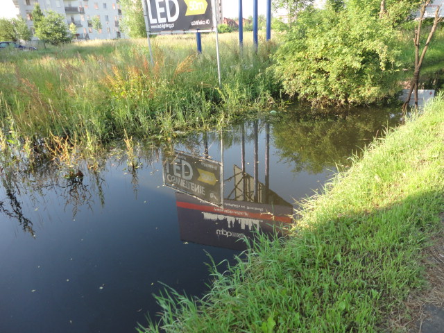 A przy Mińskiej niezłe bagno - 4