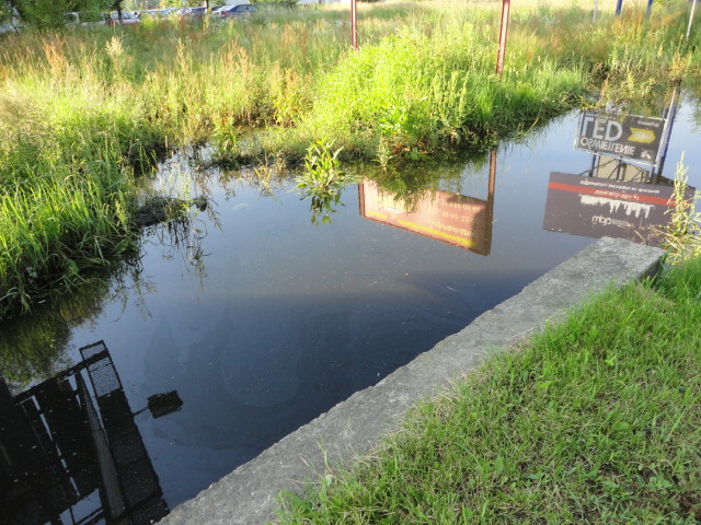 A przy Mińskiej niezłe bagno - 5