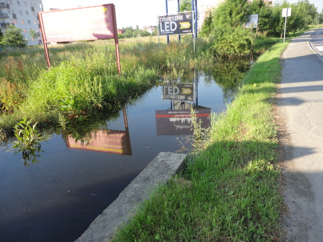A przy Mińskiej niezłe bagno - 6