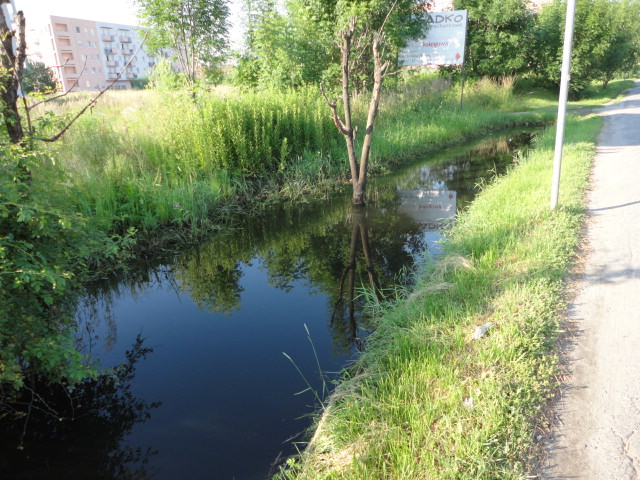 A przy Mińskiej niezłe bagno - 7