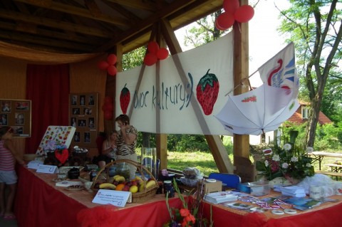 DRJ: Pęgów na truskawkowo - 13