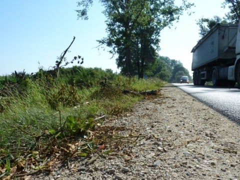 Zwisające konary nad jezdnią (Zobacz) - 5