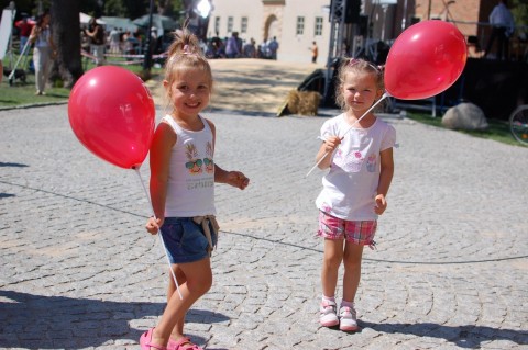 Zabytkowe auta na zamku Topacz - 25