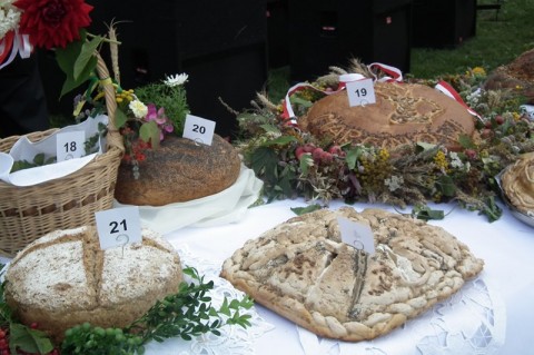 Dożynki w gminie Kłodzko - 12