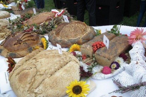 Dożynki w gminie Kłodzko - 13