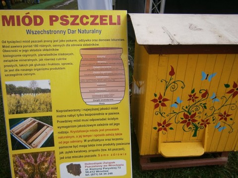 Tam trzeba było z nami być! - 10