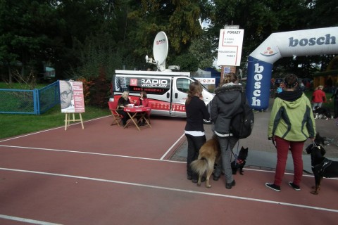 Psie piękności na stadionie (Zobacz) - 7