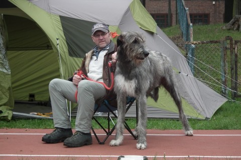 Psie piękności na stadionie (Zobacz) - 13
