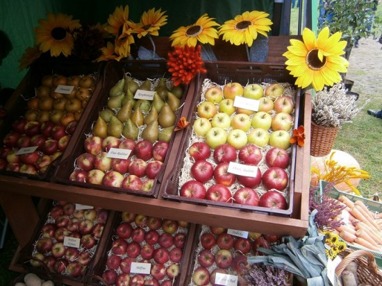 Owocowe i warzywne smaki jesieni - fot. Anna Skupień