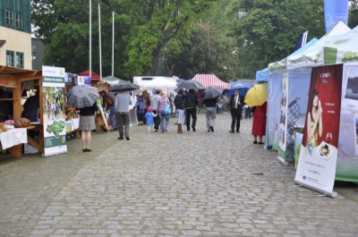 Dolny Śląsk dla powodzian (Zobacz) - 4
