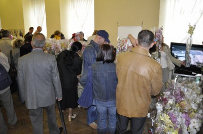 Dolnośląski Rozkład Jazdy w Książu (Zobacz zdjęcia) - 24