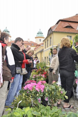 Dolnośląski Rozkład Jazdy w Książu (Zobacz zdjęcia) - 43