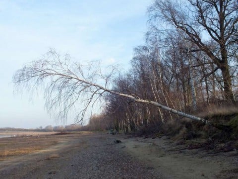 Różne oblicza Zalewu Mietkowskiego - 36