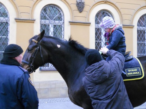 XXII Finał WOŚP  (ZOBACZ ZDJĘCIA) - 41