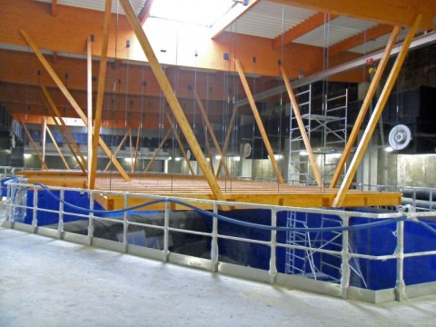 Afrykarium jak z wizualizacji (Zobacz) - 9