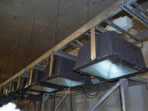 Afrykarium jak z wizualizacji (Zobacz) - 10