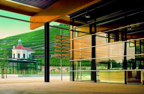 Architektura i wino w Europie Środkowej  - 6