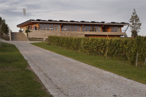 Architektura i wino w Europie Środkowej  - 7