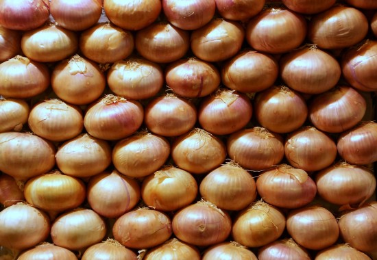 Za obieranie cebuli płacą 25 groszy - fot. böhringer friedrich/Wikipedia
