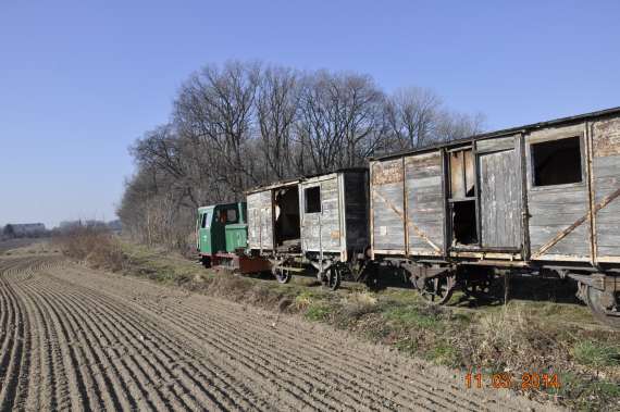 Reanimują zabytkowe wagony (Foto) - 1