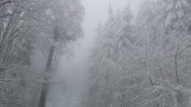 Biało w regionie (Zobacz zdjęcia) - 2
