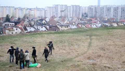 Ekorebelianci walczą o drzewa - 0