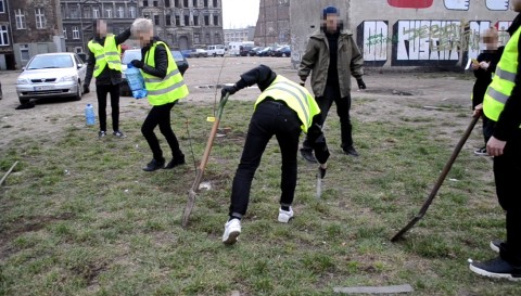 Ekorebelianci walczą o drzewa - 2