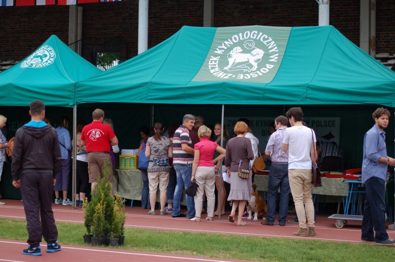 Światowa wystawa bokser&oacute;w