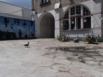 Dramatyczna akcja w szkole plastycznej - 11