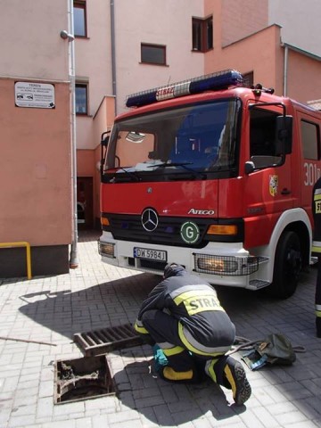 Dramatyczna akcja w szkole plastycznej - 19