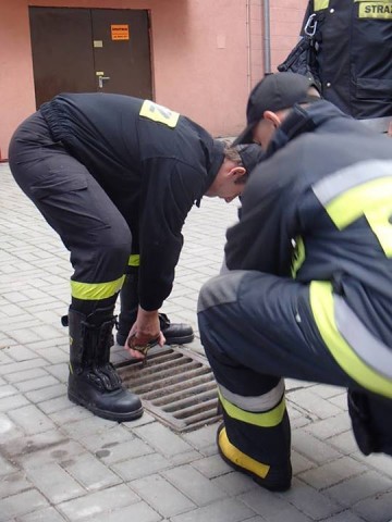 Dramatyczna akcja w szkole plastycznej - 21