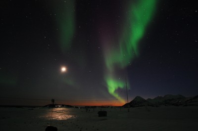 Wirus polarny silnie uzależnia! (Foto) - 12