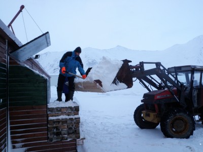 Wirus polarny silnie uzależnia! (Foto) - 0