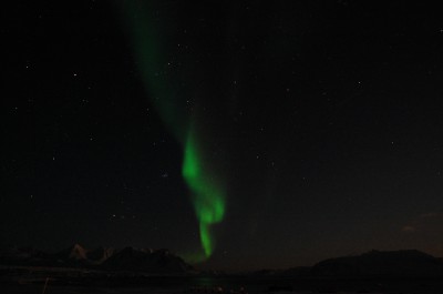Wirus polarny silnie uzależnia! (Foto) - 2