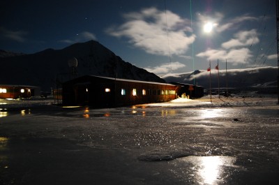 Wirus polarny silnie uzależnia! (Foto) - 3