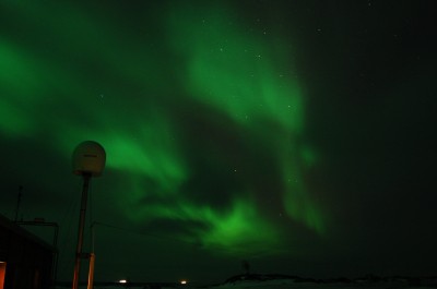 Wirus polarny silnie uzależnia! (Foto) - 5