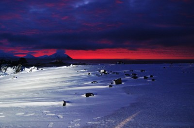 Wirus polarny silnie uzależnia! (Foto) - 7