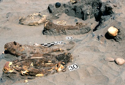 Sensacyjne odkrycie archeologów z Wrocławia! (GALERIA) - 2