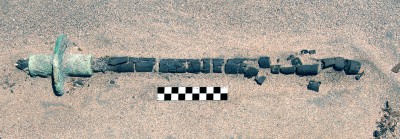 Sensacyjne odkrycie archeologów z Wrocławia! (GALERIA) - 3