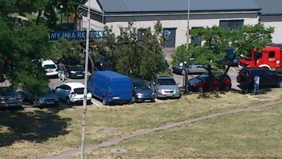 Potężne drzewo uszkodziło kilka aut (ZDJĘCIA) - 1