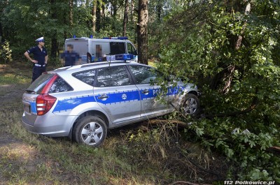 Policjantka wjechała w drzewo. Helikopter zabrał ją do szpitala - 4