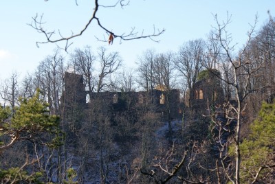 Z Kulturowych Szlaków Dolnego Śląska (Zamek Książ) - 2