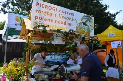 DRJ: Dzień pszczelarza - 9